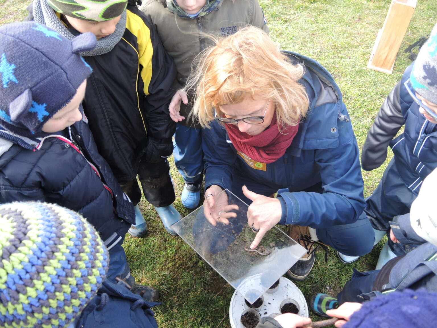 Regenwurm Archives Irena Sendler Schule Hohenroth